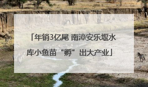 年销3亿尾 南漳安乐堰水库小鱼苗“孵”出大产业