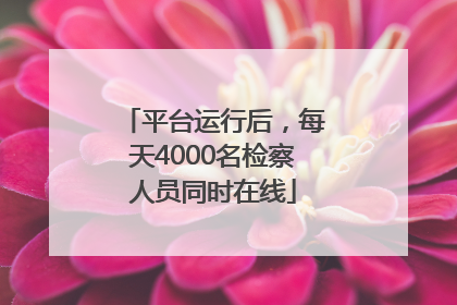 平台运行后，每天4000名检察人员同时在线