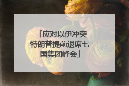 应对以伊冲突 特朗普提前退席七国集团峰会