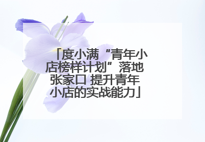 度小满“青年小店榜样计划”落地张家口 提升青年小店的实战能力