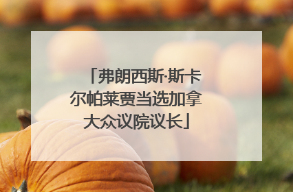 弗朗西斯·斯卡尔帕莱贾当选加拿大众议院议长
