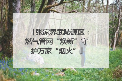 张家界武陵源区：燃气管网“焕新”守护万家“烟火”