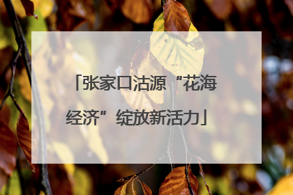 张家口沽源“花海经济”绽放新活力