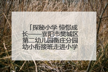探秘小学 憧憬成长——襄阳市樊城区第二幼儿园衡庄分园幼小衔接班走进小学开展参观体验活动
