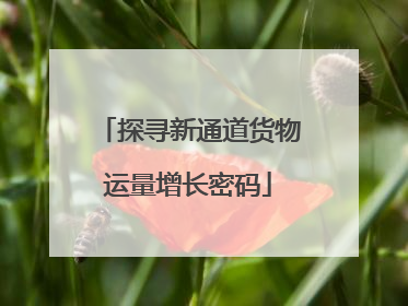 探寻新通道货物运量增长密码