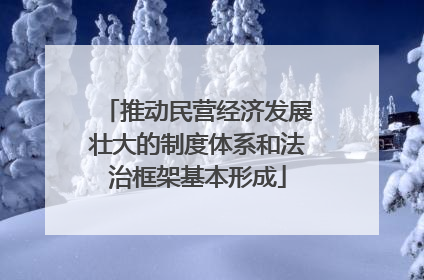 推动民营经济发展壮大的制度体系和法治框架基本形成