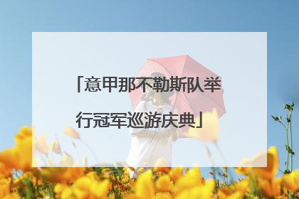 意甲那不勒斯队举行冠军巡游庆典