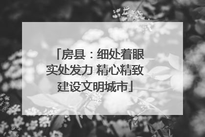 房县：细处着眼 实处发力 精心精致建设文明城市