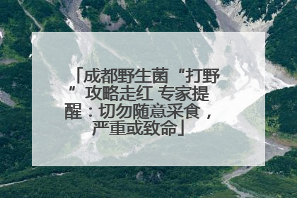 成都野生菌“打野”攻略走红 专家提醒：切勿随意采食，严重或致命