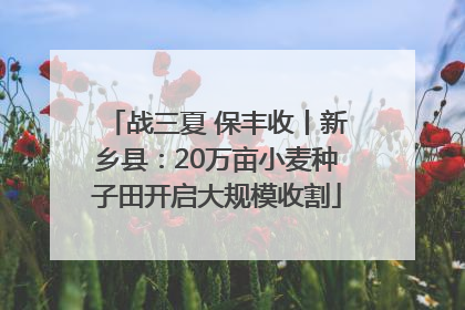 战三夏 保丰收丨新乡县：20万亩小麦种子田开启大规模收割