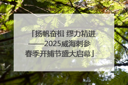 扬帆奋楫 缪力精进——2025威海刺参春季开捕节盛大启幕