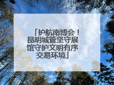 护航南博会！昆明城管坚守展馆守护文明有序交易环境