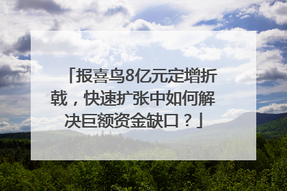 报喜鸟8亿元定增折戟，快速扩张中如何解决巨额资金缺口？