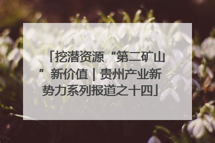 挖潜资源“第二矿山”新价值｜贵州产业新势力系列报道之十四