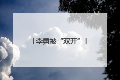 李勇被“双开”