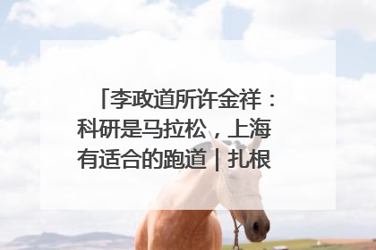李政道所许金祥：科研是马拉松，上海有适合的跑道｜扎根上海，从0到1