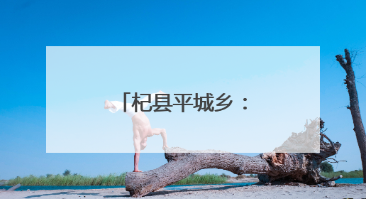 杞县平城乡：橄榄菜产业铺就富民新道路