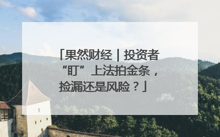 果然财经｜投资者“盯”上法拍金条，捡漏还是风险？