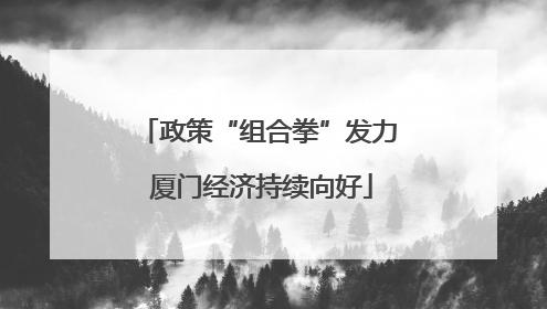 政策“组合拳”发力 厦门经济持续向好