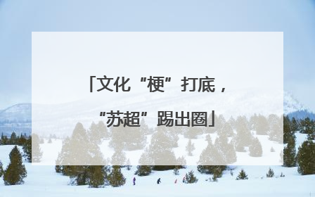 文化“梗”打底，“苏超”踢出圈