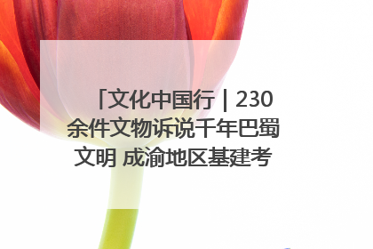 文化中国行｜230余件文物诉说千年巴蜀文明 成渝地区基建考古成果展开展