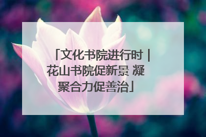文化书院进行时｜花山书院促新景 凝聚合力促善治