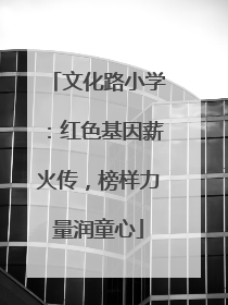 文化路小学：红色基因薪火传，榜样力量润童心