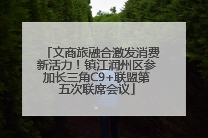文商旅融合激发消费新活力！镇江润州区参加长三角C9+联盟第五次联席会议
