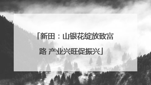 新田：山银花绽放致富路 产业兴旺促振兴