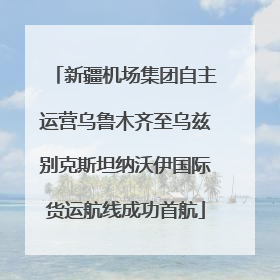 新疆机场集团自主运营乌鲁木齐至乌兹别克斯坦纳沃伊国际货运航线成功首航