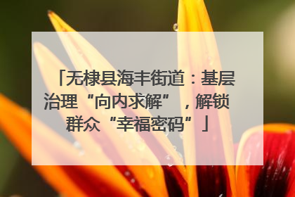 无棣县海丰街道：基层治理“向内求解”，解锁群众“幸福密码”