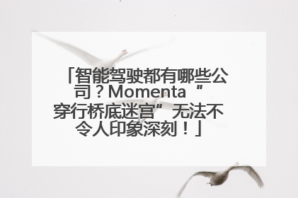 智能驾驶都有哪些公司？Momenta“穿行桥底迷宫”无法不令人印象深刻！