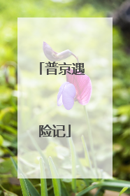 普京遇险记