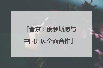 普京：俄罗斯愿与中国开展全面合作