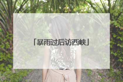 暴雨过后访西峡