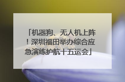 机器狗、无人机上阵！深圳福田举办综合应急演练护航十五运会