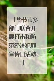 毕节市多部门联合开展打击和防范经济犯罪宣传日活动
