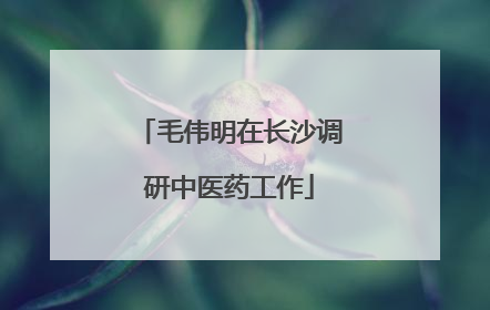 毛伟明在长沙调研中医药工作