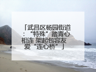 武昌区杨园街道：“特殊”踏青心相连 架起包容友爱“连心桥”