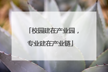 校园建在产业园，专业建在产业链