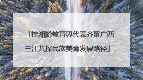 桂湘黔教育界代表齐聚广西三江共探民族美育发展路径
