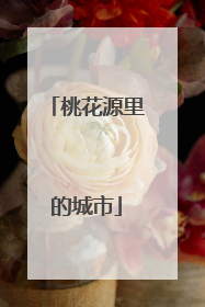 桃花源里的城市