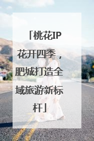 桃花IP花开四季，肥城打造全域旅游新标杆