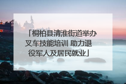 桐柏县清淮街道举办叉车技能培训 助力退役军人及居民就业