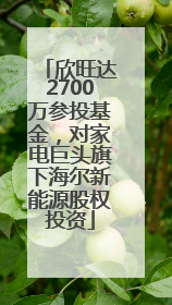欣旺达2700万参投基金，对家电巨头旗下海尔新能源股权投资