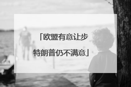 欧盟有意让步 特朗普仍不满意