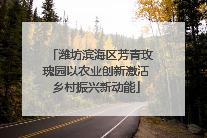 潍坊滨海区芳青玫瑰园以农业创新激活乡村振兴新动能