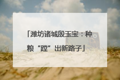 潍坊诸城殷玉宝：种粮“蹚”出新路子