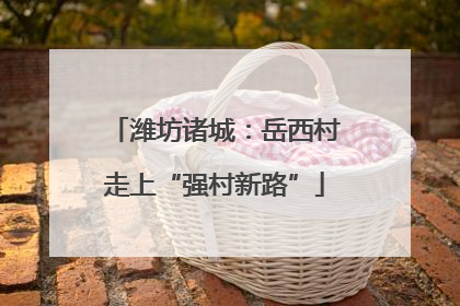 潍坊诸城：岳西村走上“强村新路”