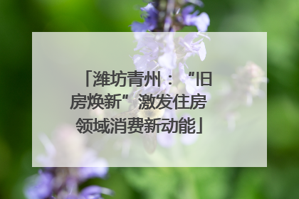 潍坊青州：“旧房焕新”激发住房领域消费新动能
